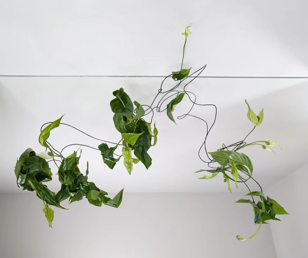 Botanical art for editorial photography by Atelier Frø Norway