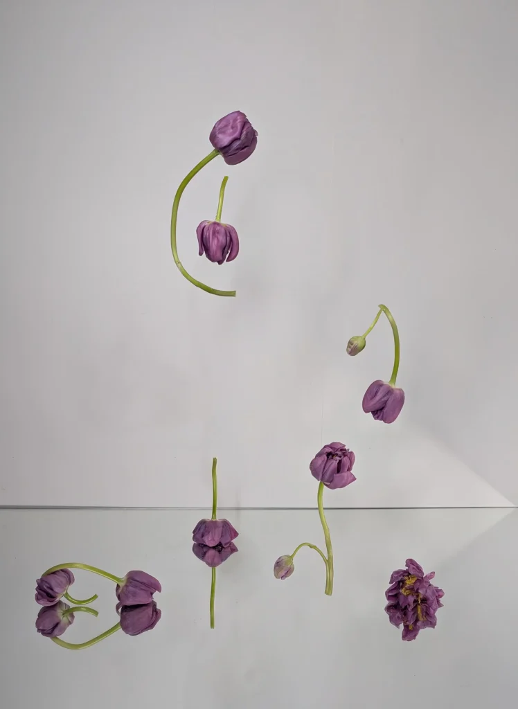 Floral installation with seasonal flowers by atelier frø norway