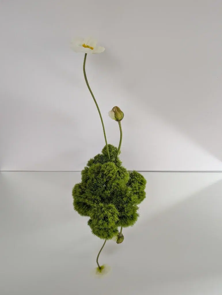Botanical art for editorial photography by Atelier Frø Oslo