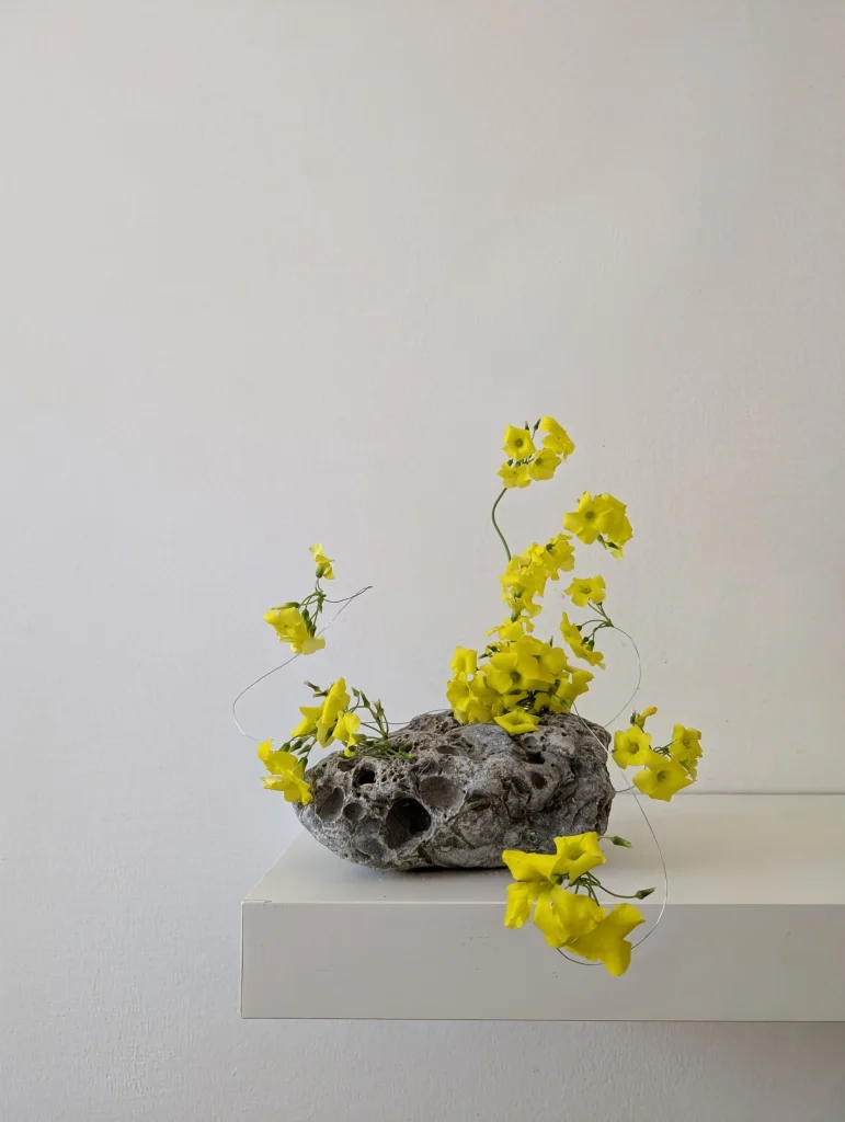 Botanical installation for contemporary brand