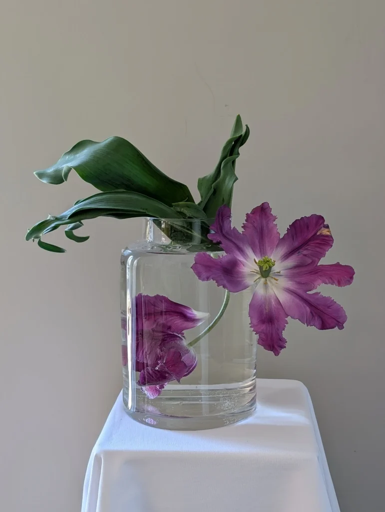 Floral art for editorial photography by Atelier Frø Norway