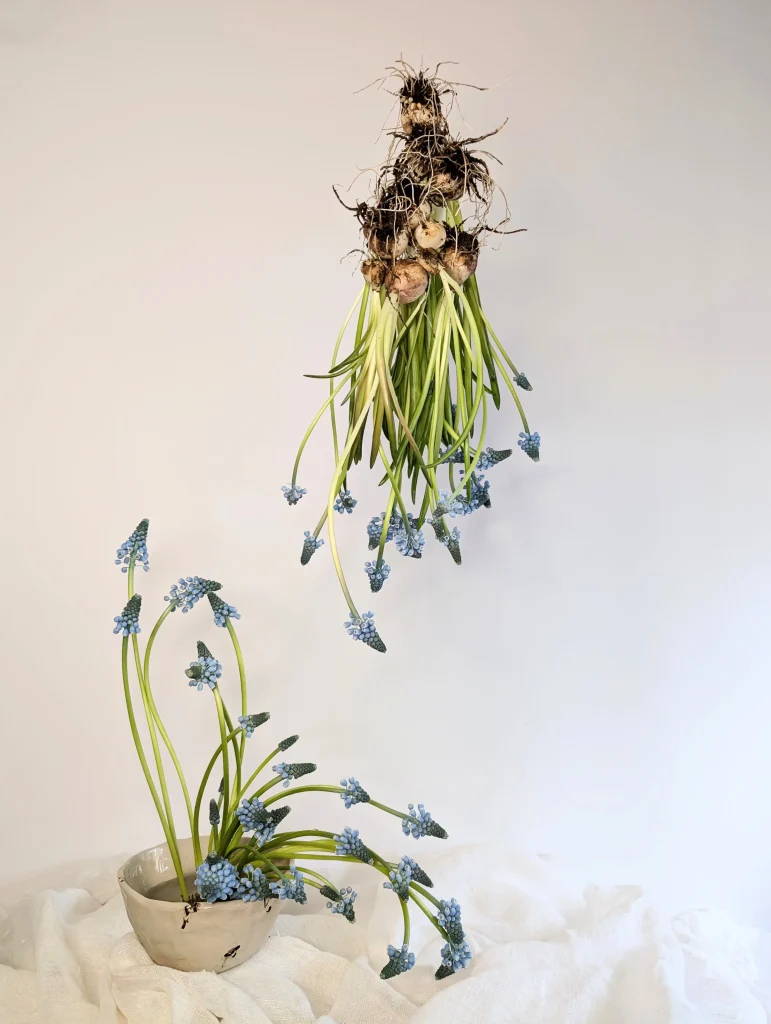 Botanical art installation for editorial photography by Atelier Frø Norway