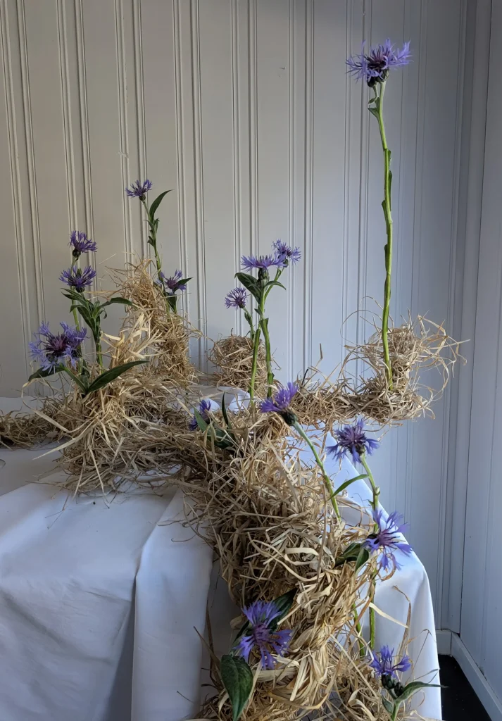 Botanical and floral installation for editorial photography by Atelier Frø Norway
